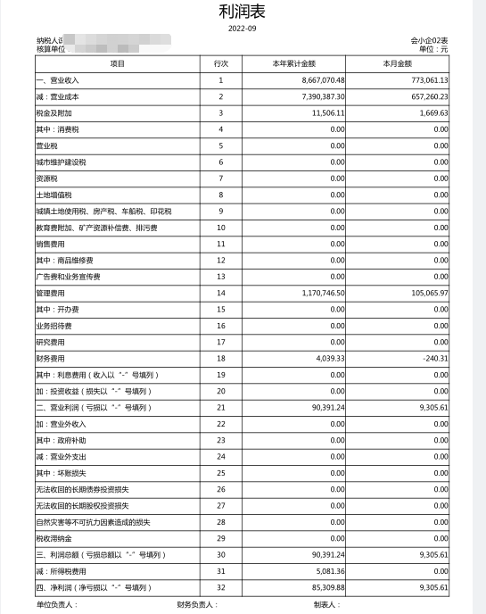 老师，这是财务报表，麻烦您看下