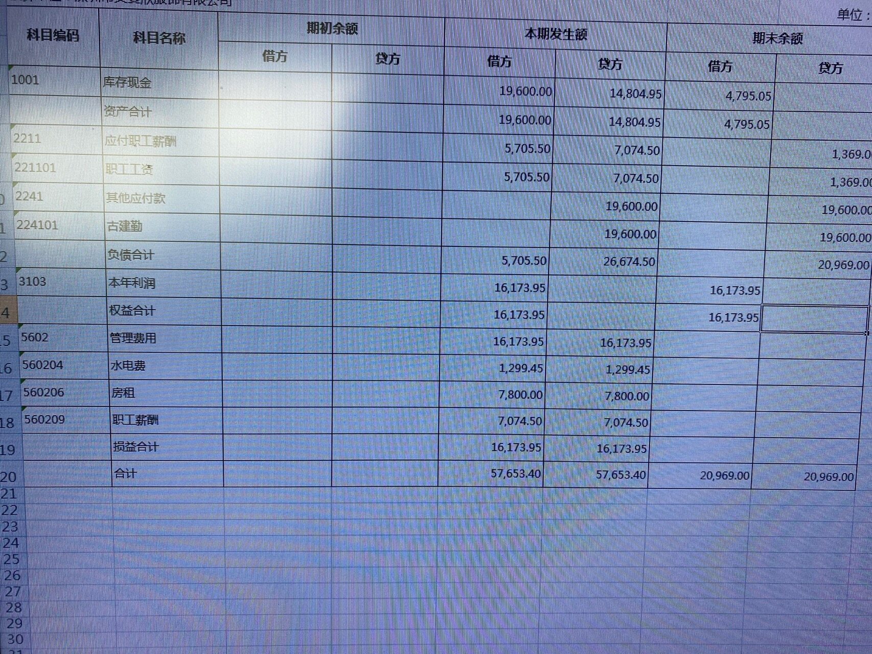 根据余额表和我填写的损益科目数据，本年利润那里怎么填写合适，初始数据里的期初余额填写的需要删掉吗？直接填写累计还是都填